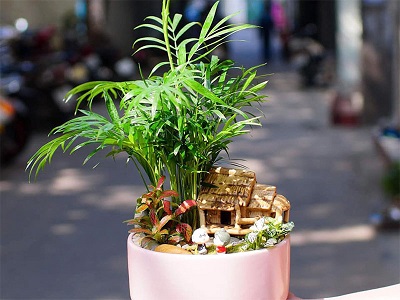 Nhựa Bình Thuận