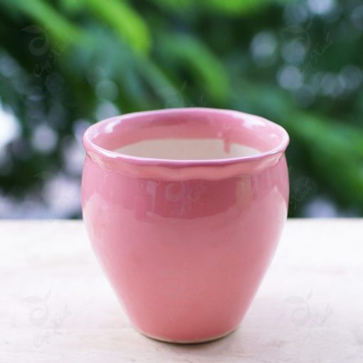 Nhựa Bình Thuận