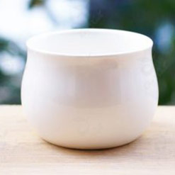 Nhựa Bình Thuận