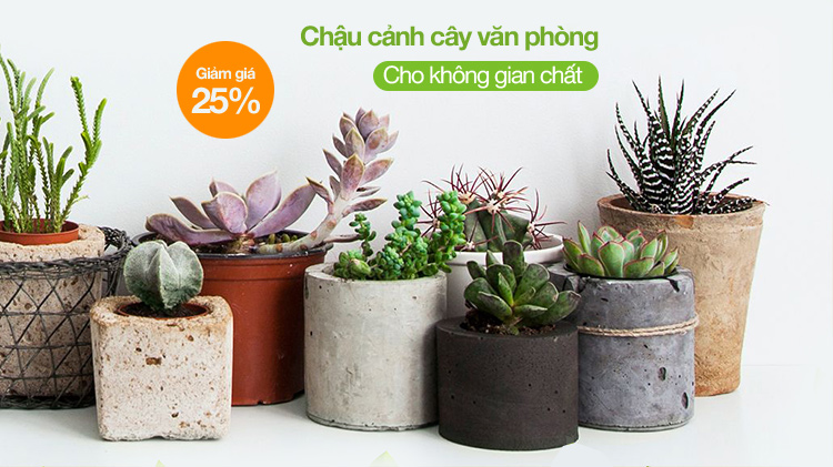 Nhựa Bình Thuận