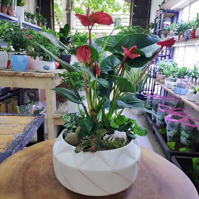 Nhựa Bình Thuận