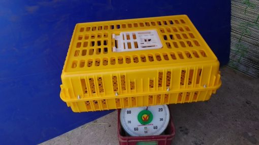 Lồng gà TQ - 5kg - Nhựa Nguyên Sinh - Nhựa Bình Thuận tại Hà Nội